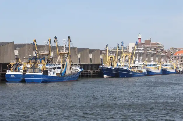 P1 Kotters In Scheveningen